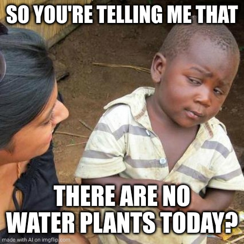 Third World Skeptical Kid | SO YOU'RE TELLING ME THAT; THERE ARE NO WATER PLANTS TODAY? | image tagged in memes,third world skeptical kid | made w/ Imgflip meme maker