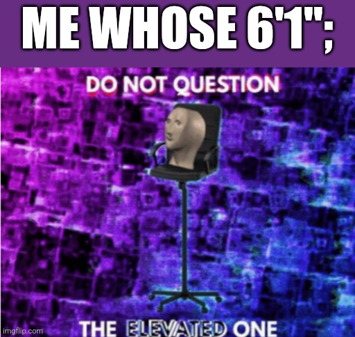 Do not question the elevated one | ME WHOSE 6'1"; | image tagged in do not question the elevated one | made w/ Imgflip meme maker