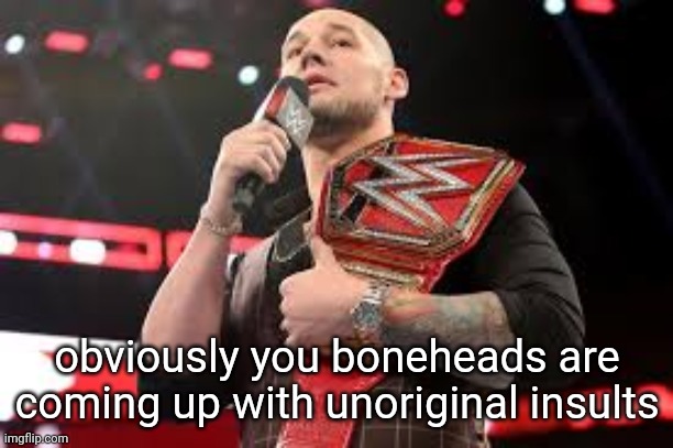 stormbreaker's complaining about nothing | obviously you boneheads are coming up with unoriginal insults | image tagged in baron corbin | made w/ Imgflip meme maker
