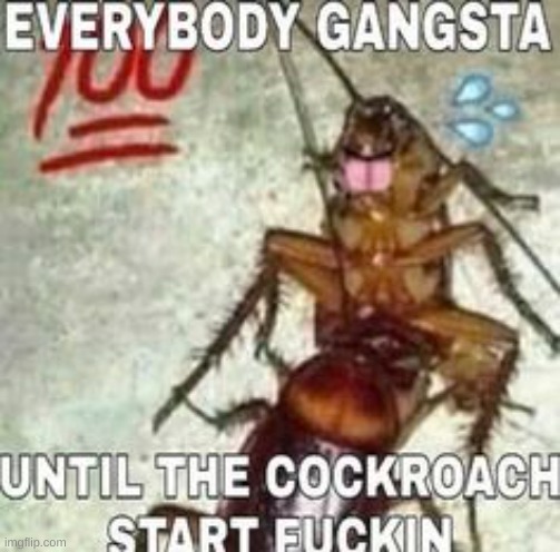 tf | made w/ Imgflip meme maker