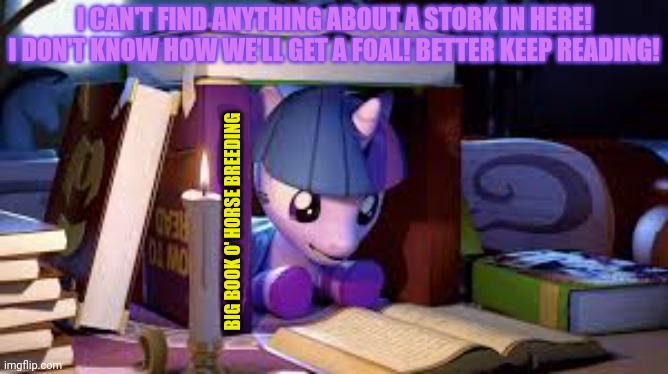 Twilight studies | I CAN'T FIND ANYTHING ABOUT A STORK IN HERE! I DON'T KNOW HOW WE'LL GET A FOAL! BETTER KEEP READING! BIG BOOK O' HORSE BREEDING | image tagged in clueless,pony,mlp,twilight sparkle | made w/ Imgflip meme maker