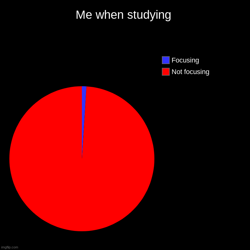 Studying is kind of boring | Me when studying | Not focusing, Focusing | image tagged in charts,pie charts,funny memes,studying,focus | made w/ Imgflip chart maker