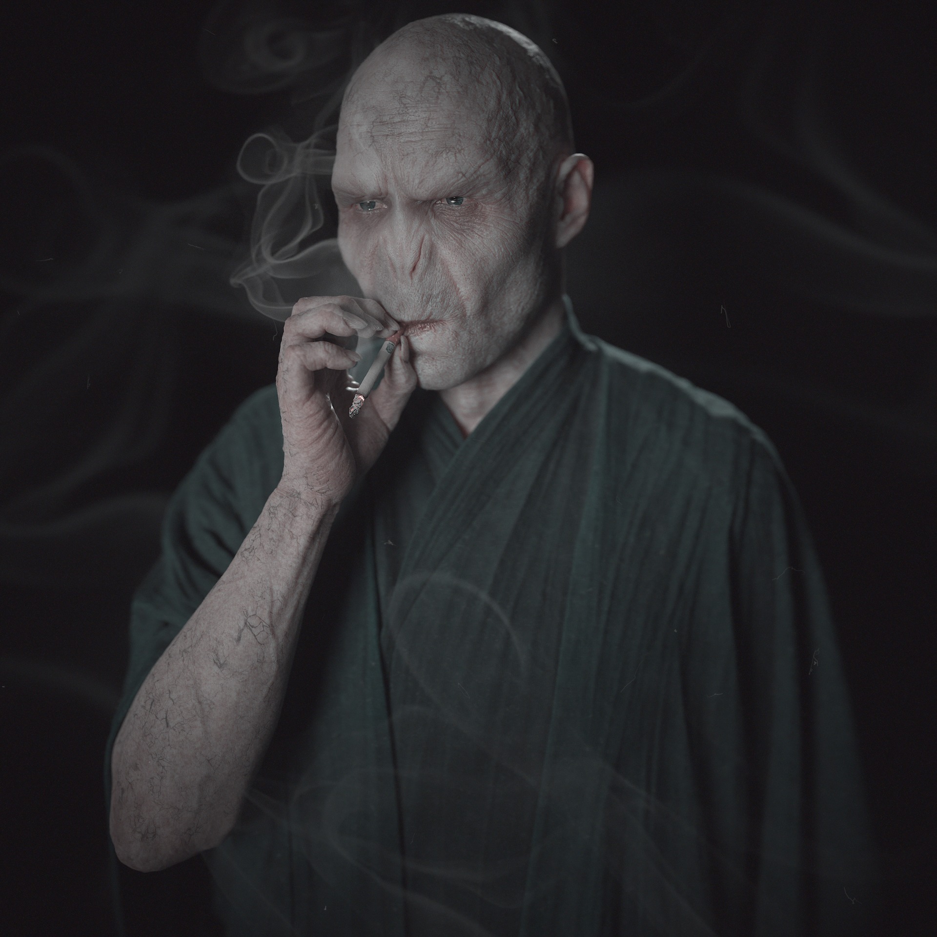 Stressed Voldemort (Image by Abraham Tovmasyan) Blank Meme Template