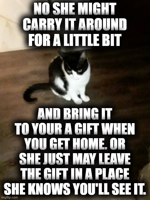 NO SHE MIGHT CARRY IT AROUND FOR A LITTLE BIT AND BRING IT TO YOUR A GIFT WHEN YOU GET HOME. OR SHE JUST MAY LEAVE THE GIFT IN A PLACE SHE K | made w/ Imgflip meme maker