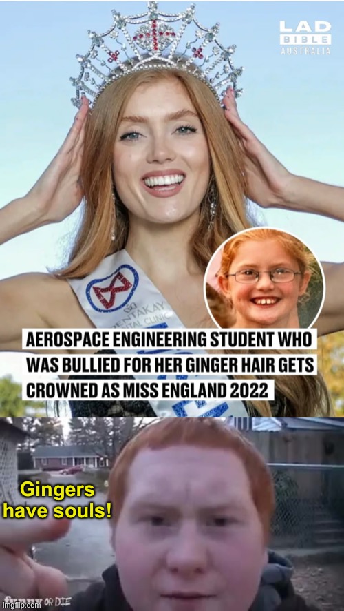 Know the video? | Gingers have souls! | image tagged in gingers have souls,memes,unfunny | made w/ Imgflip meme maker