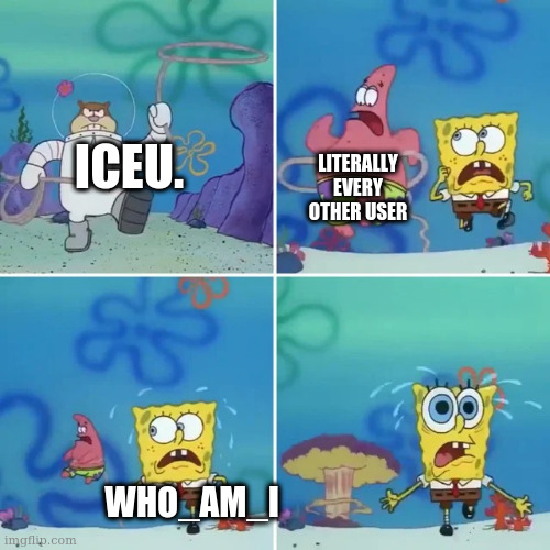 Sandy Catches squidward and patrick | LITERALLY EVERY OTHER USER; ICEU. WHO_AM_I | image tagged in sandy catches squidward and patrick | made w/ Imgflip meme maker