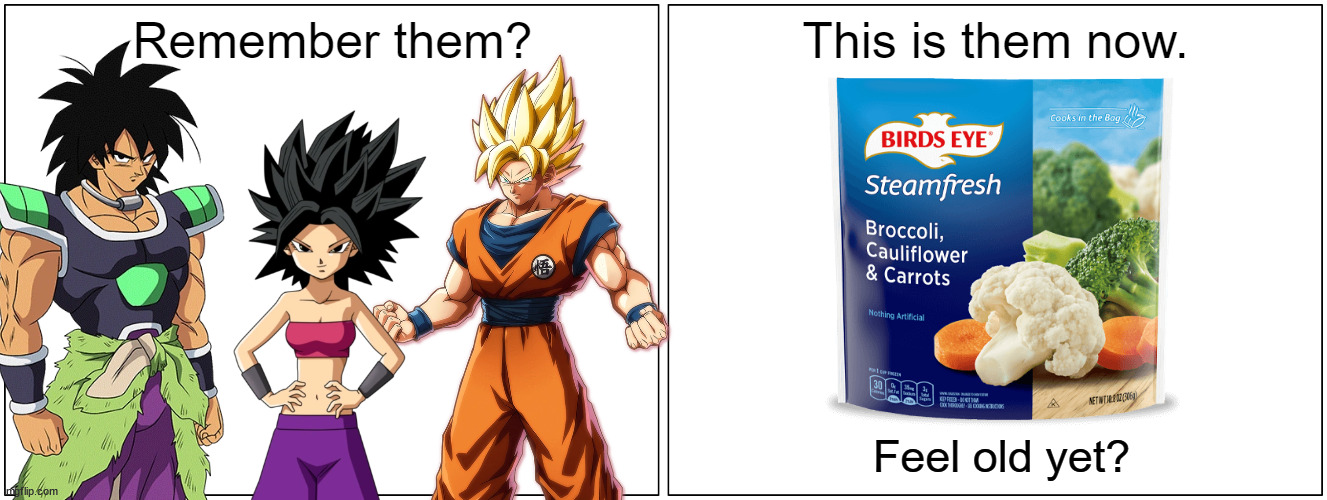 remember to store your saiyans in the frieza. | image tagged in this is them now,dragon ball super,dragon ball,dragon ball z,vegetables | made w/ Imgflip meme maker
