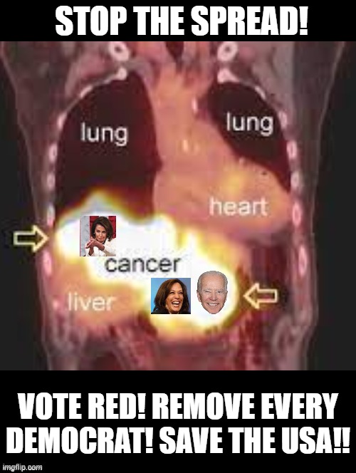 Stop the spread! Vote RED!! Remove EVERY Democrat!! | STOP THE SPREAD! VOTE RED! REMOVE EVERY DEMOCRAT! SAVE THE USA!! | image tagged in idiots,morons,human stupidity,special kind of stupid,traitors | made w/ Imgflip meme maker