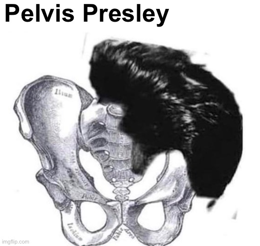 ...get it? | Pelvis Presley | image tagged in memes,unfunny | made w/ Imgflip meme maker