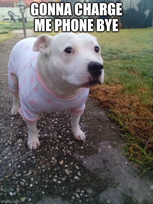 High quality Huh Dog | GONNA CHARGE ME PHONE BYE | image tagged in high quality huh dog | made w/ Imgflip meme maker