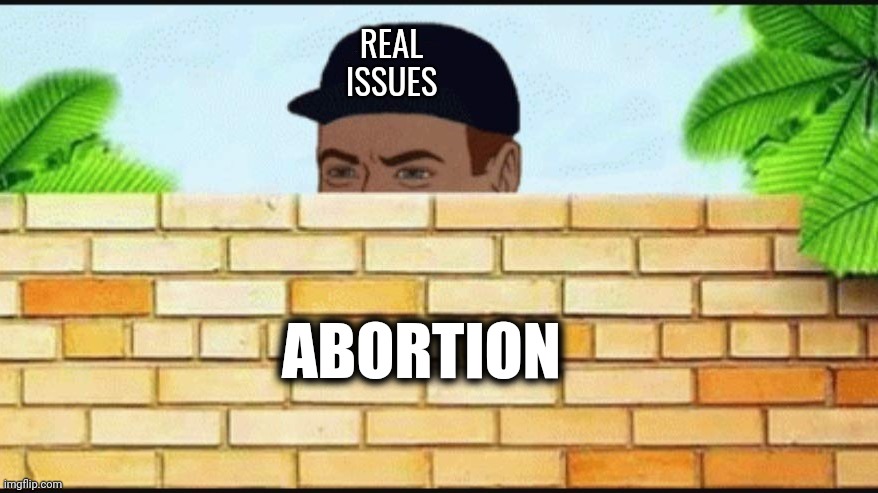 Guy hiding behind wall | REAL         
ISSUES ABORTION | image tagged in guy hiding behind wall | made w/ Imgflip meme maker