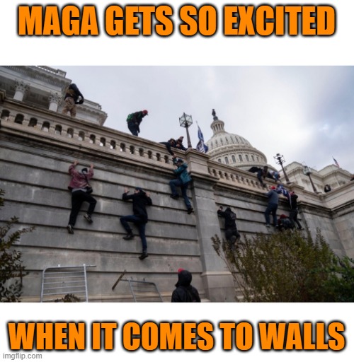 Trump Supporters Climbing Wall | MAGA GETS SO EXCITED WHEN IT COMES TO WALLS | image tagged in trump supporters climbing wall | made w/ Imgflip meme maker