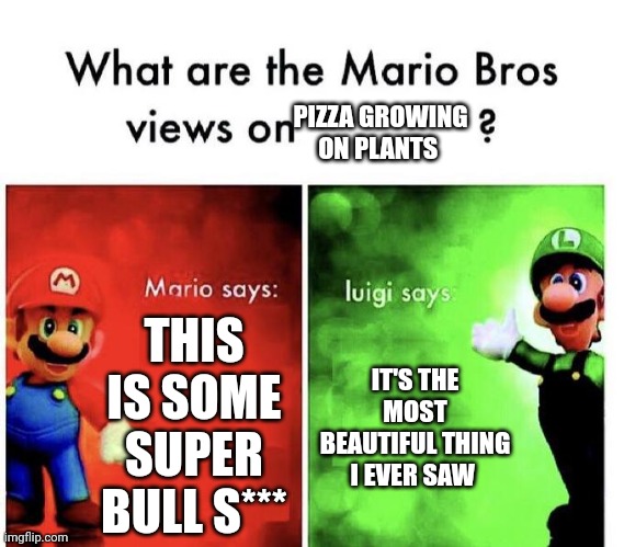 Mario Bros Views | THIS IS SOME SUPER BULL S*** IT'S THE MOST BEAUTIFUL THING I EVER SAW PIZZA GROWING ON PLANTS | image tagged in mario bros views | made w/ Imgflip meme maker