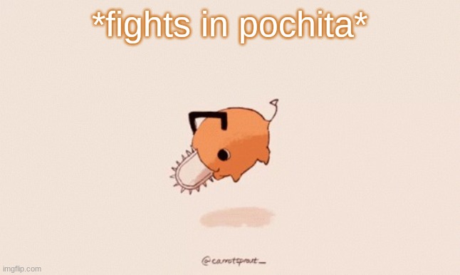 Pochita | *fights in pochita* | image tagged in pochita | made w/ Imgflip meme maker