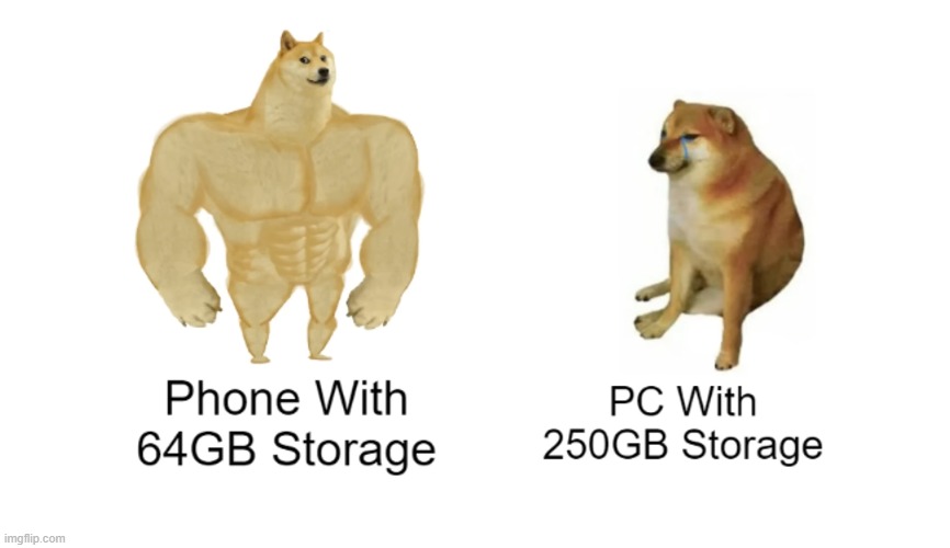 Buff Doge vs Cheems | image tagged in buff doge vs cheems | made w/ Imgflip meme maker