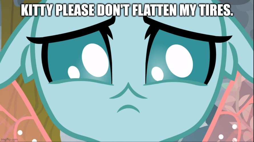 Sad Ocellus (MLP) | KITTY PLEASE DON'T FLATTEN MY TIRES. | image tagged in sad ocellus mlp | made w/ Imgflip meme maker