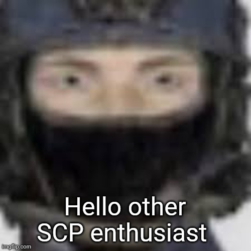Epsilon-11 staring | Hello other SCP enthusiast | image tagged in epsilon-11 staring | made w/ Imgflip meme maker