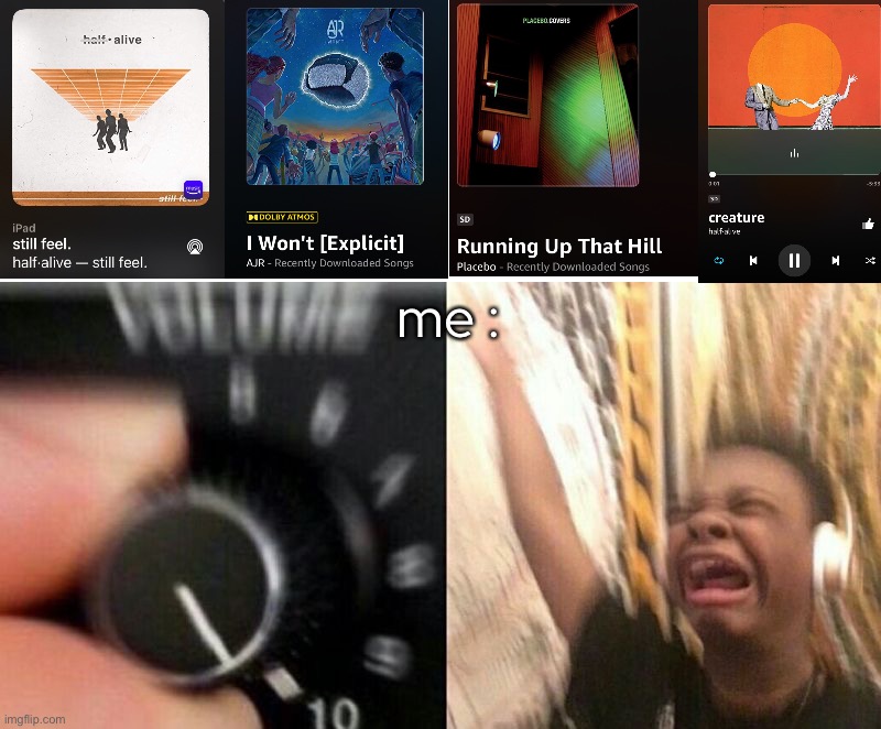 AAAAAAAAAAAAAAAAAAAAAAA | me : | made w/ Imgflip meme maker