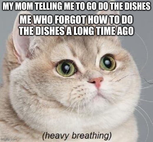 lol | MY MOM TELLING ME TO GO DO THE DISHES; ME WHO FORGOT HOW TO DO THE DISHES A LONG TIME AGO | image tagged in memes,heavy breathing cat | made w/ Imgflip meme maker