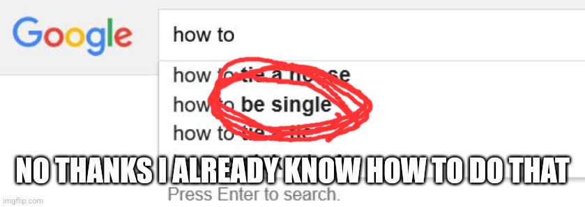 Google Search | NO THANKS I ALREADY KNOW HOW TO DO THAT | image tagged in google search | made w/ Imgflip meme maker