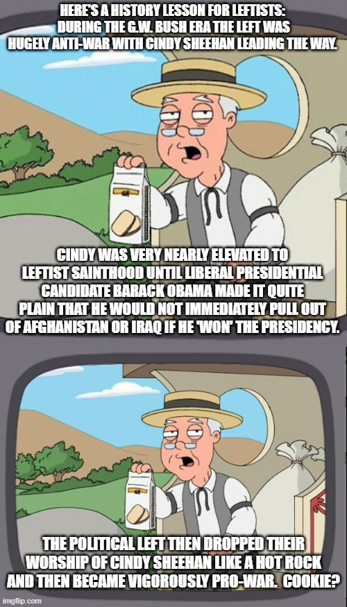 Yep . . . pretty much. | HERE'S A HISTORY LESSON FOR LEFTISTS:  DURING THE G.W. BUSH ERA THE LEFT WAS HUGELY ANTI-WAR WITH CINDY SHEEHAN LEADING THE WAY. CINDY WAS VERY NEARLY ELEVATED TO LEFTIST SAINTHOOD UNTIL LIBERAL PRESIDENTIAL CANDIDATE BARACK OBAMA MADE IT QUITE PLAIN THAT HE WOULD NOT IMMEDIATELY PULL OUT OF AFGHANISTAN OR IRAQ IF HE 'WON' THE PRESIDENCY. THE POLITICAL LEFT THEN DROPPED THEIR WORSHIP OF CINDY SHEEHAN LIKE A HOT ROCK AND THEN BECAME VIGOROUSLY PRO-WAR.  COOKIE? | image tagged in pepperidge farm remembers | made w/ Imgflip meme maker