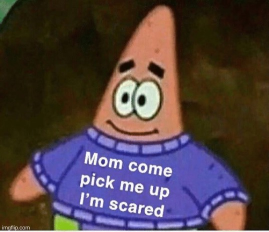 Mom come pick me up i'm scared | image tagged in mom come pick me up i'm scared | made w/ Imgflip meme maker