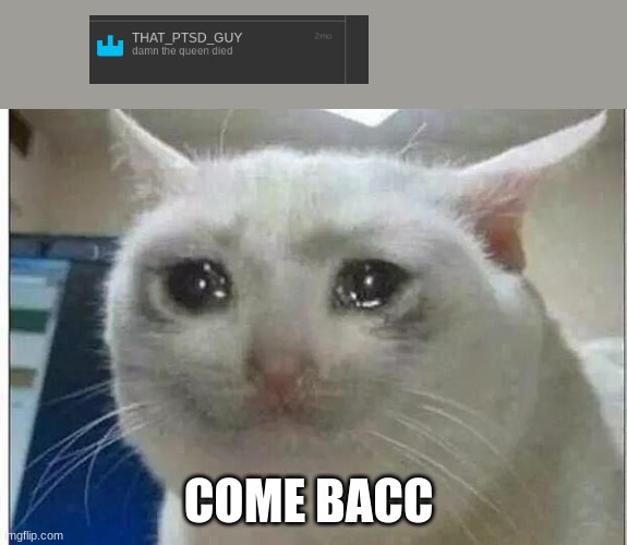 WAAAAAa | COME BACC | image tagged in sad | made w/ Imgflip meme maker