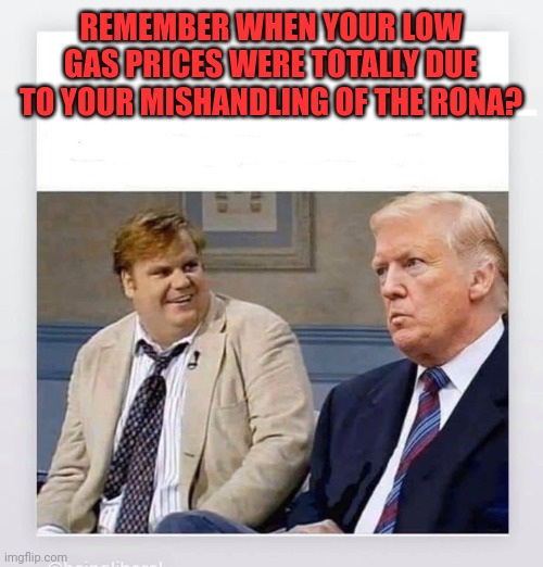 Candy Trump | REMEMBER WHEN YOUR LOW GAS PRICES WERE TOTALLY DUE TO YOUR MISHANDLING OF THE RONA? | image tagged in candy trump | made w/ Imgflip meme maker