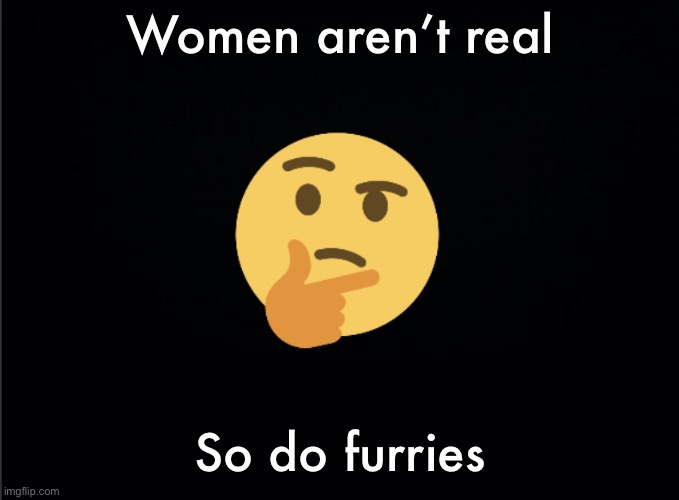 Thinking emoji | Women aren’t real; So do furries | image tagged in thinking emoji | made w/ Imgflip meme maker