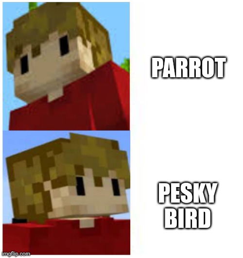 Grian Not that But This | PARROT; PESKY BIRD | image tagged in grian not that but this | made w/ Imgflip meme maker