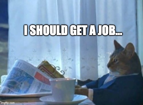 lol im 16 and i dont even have a job -_- | I SHOULD GET A JOB... | image tagged in memes,i should buy a boat cat | made w/ Imgflip meme maker