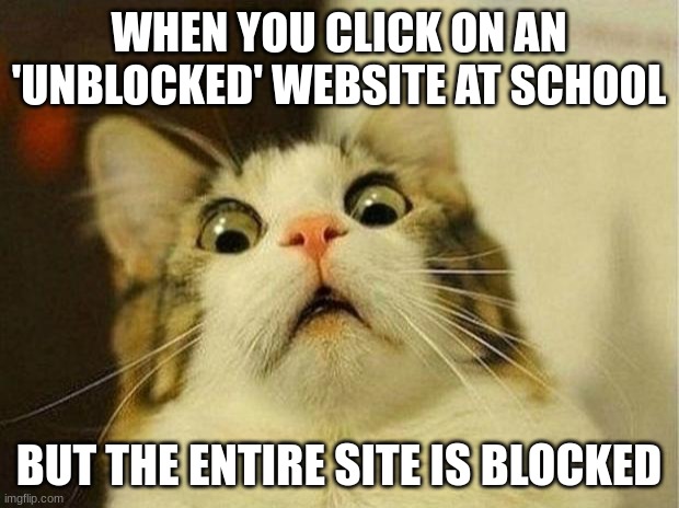 School Slander | WHEN YOU CLICK ON AN 'UNBLOCKED' WEBSITE AT SCHOOL; BUT THE ENTIRE SITE IS BLOCKED | image tagged in memes,scared cat | made w/ Imgflip meme maker