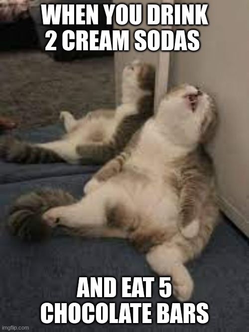this happens so much | WHEN YOU DRINK 2 CREAM SODAS; AND EAT 5 CHOCOLATE BARS | image tagged in food,funny | made w/ Imgflip meme maker