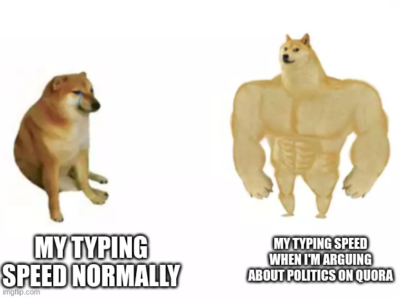 My Typing Speed | MY TYPING SPEED WHEN I'M ARGUING ABOUT POLITICS ON QUORA; MY TYPING SPEED NORMALLY | image tagged in buff doge vs cheems reversed,funny,fun,politics | made w/ Imgflip meme maker