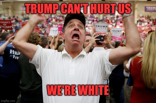 Trump Supporter Triggered | TRUMP CAN'T HURT US WE'RE WHITE | image tagged in trump supporter triggered | made w/ Imgflip meme maker