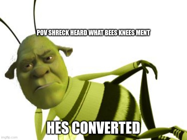 POV SHRECK HEARD WHAT BEES KNEES MENT; HES CONVERTED | made w/ Imgflip meme maker