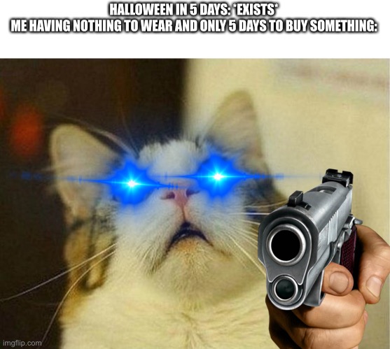 I’m posting Halloween countdown memes until it’s Halloween | HALLOWEEN IN 5 DAYS: *EXISTS*

ME HAVING NOTHING TO WEAR AND ONLY 5 DAYS TO BUY SOMETHING: | image tagged in memes,scared cat | made w/ Imgflip meme maker