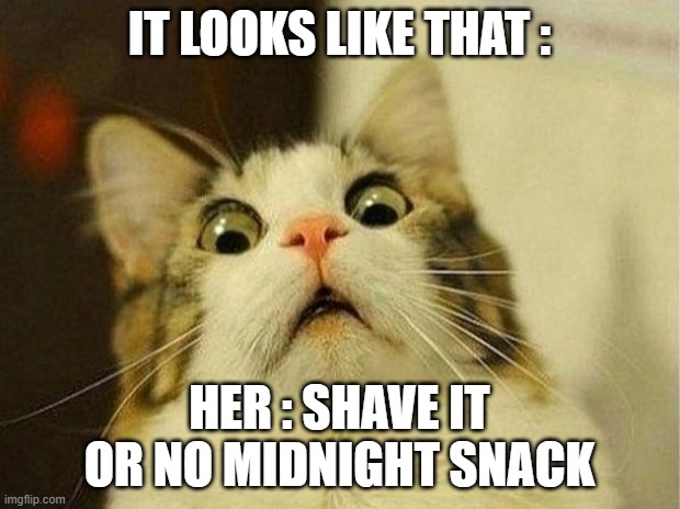 Scared Cat Meme | IT LOOKS LIKE THAT :; HER : SHAVE IT OR NO MIDNIGHT SNACK | image tagged in memes,scared cat | made w/ Imgflip meme maker