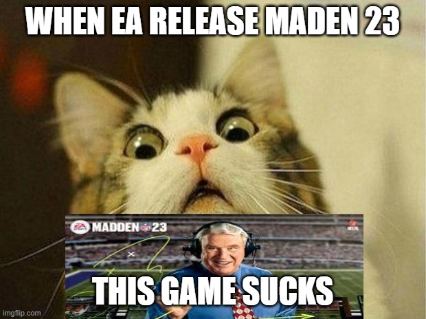 Scared Cat Meme | WHEN EA RELEASE MADEN 23; THIS GAME SUCKS | image tagged in memes,scared cat | made w/ Imgflip meme maker