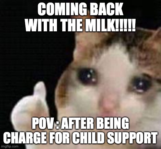 Approved crying cat | COMING BACK WITH THE MILK!!!!! POV : AFTER BEING CHARGE FOR CHILD SUPPORT | image tagged in approved crying cat | made w/ Imgflip meme maker
