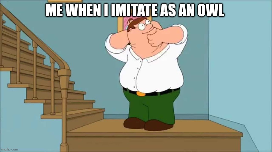 Peter snaps his neck | ME WHEN I IMITATE AS AN OWL | image tagged in peter snaps his neck | made w/ Imgflip meme maker