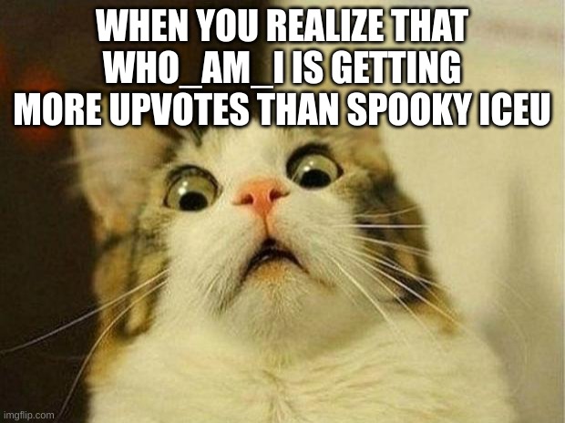 Scared Cat | WHEN YOU REALIZE THAT WHO_AM_I IS GETTING MORE UPVOTES THAN SPOOKY ICEU | image tagged in memes,scared cat | made w/ Imgflip meme maker