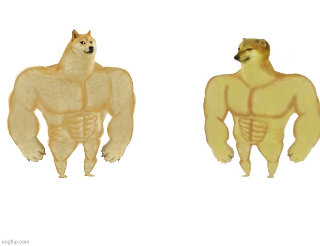 Cheems buff | image tagged in memes,buff doge vs cheems | made w/ Imgflip meme maker