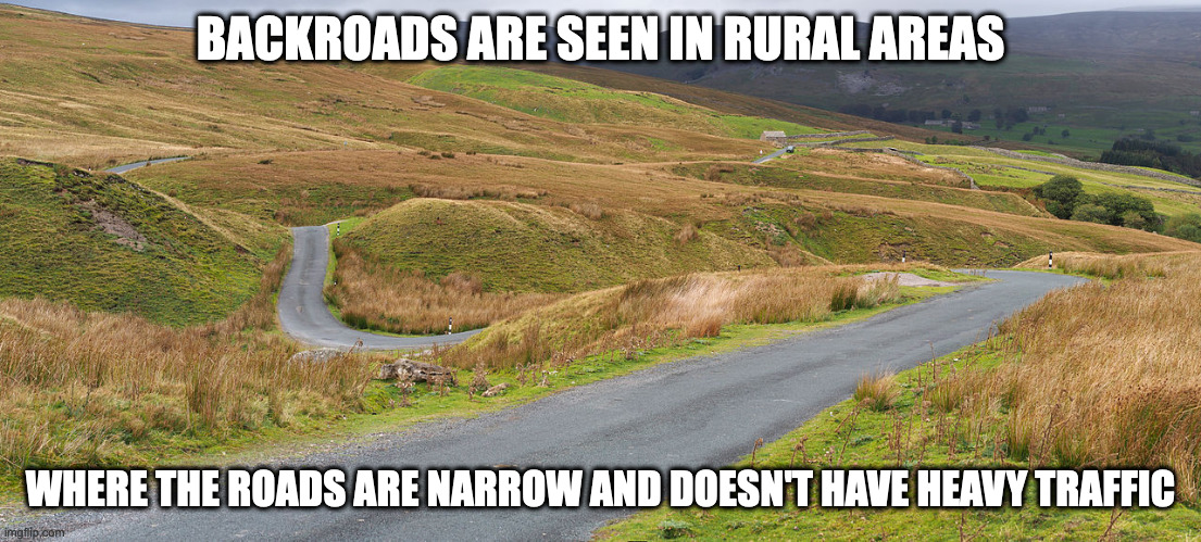 Backroads | BACKROADS ARE SEEN IN RURAL AREAS; WHERE THE ROADS ARE NARROW AND DOESN'T HAVE HEAVY TRAFFIC | image tagged in road,memes | made w/ Imgflip meme maker