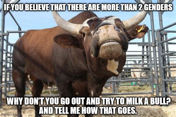 Why don’t you go out and try to milk a bull? And tell me how that goes. | IF YOU BELIEVE THAT THERE ARE MORE THAN 2 GENDERS; WHY DON’T YOU GO OUT AND TRY TO MILK A BULL?
AND TELL ME HOW THAT GOES. | image tagged in bullshit,bull,gender,2 genders | made w/ Imgflip meme maker