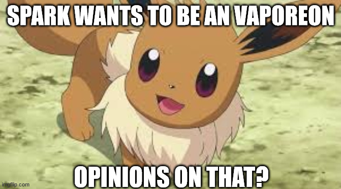 she might change her mind | SPARK WANTS TO BE AN VAPOREON; OPINIONS ON THAT? | image tagged in eevee | made w/ Imgflip meme maker