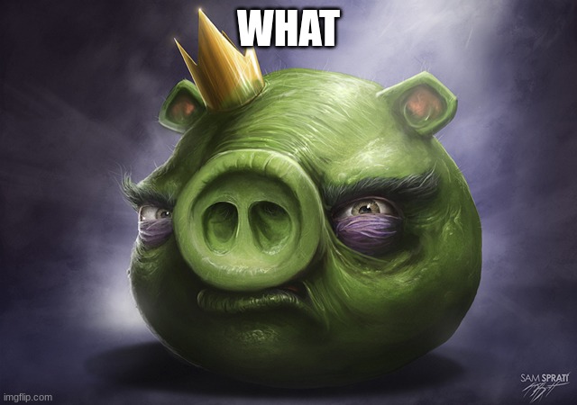 Angry Birds Realistic King Pig | WHAT | image tagged in angry birds realistic king pig | made w/ Imgflip meme maker