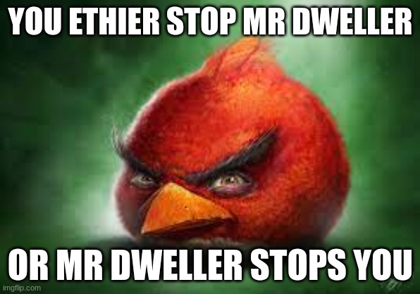 Stop mr dweller | YOU ETHIER STOP MR DWELLER; OR MR DWELLER STOPS YOU | image tagged in realistic red angry birds | made w/ Imgflip meme maker