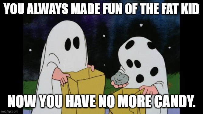Charlie Brown Halloween Rock | YOU ALWAYS MADE FUN OF THE FAT KID; NOW YOU HAVE NO MORE CANDY. | image tagged in charlie brown halloween rock | made w/ Imgflip meme maker