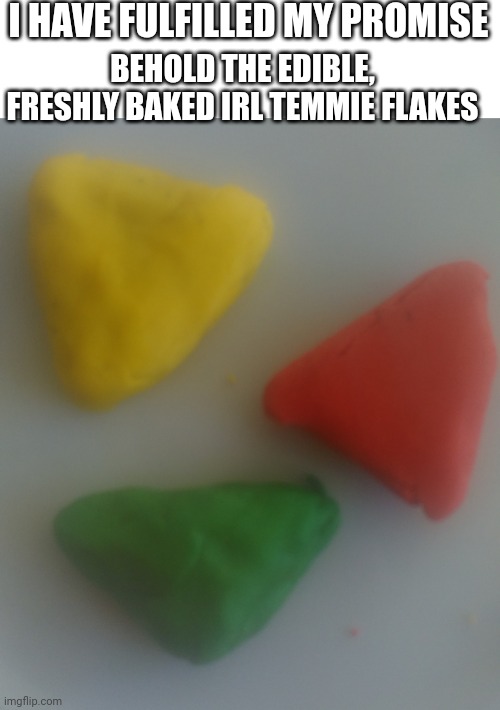 I made more but I ate them (sry for the camera quality) | I HAVE FULFILLED MY PROMISE; BEHOLD THE EDIBLE, FRESHLY BAKED IRL TEMMIE FLAKES | made w/ Imgflip meme maker